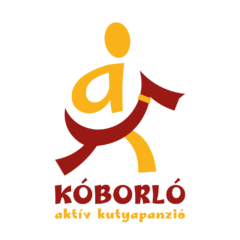 K&Oacute;BORL&Oacute; akt&iacute;v kutyapanzi&oacute;